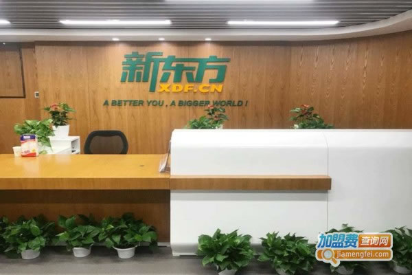 《新东方在线教育加盟费》