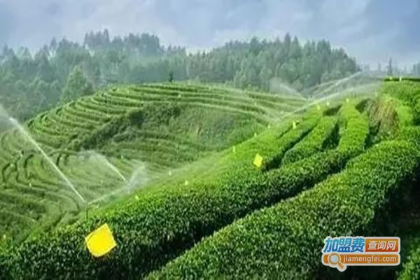 《心和合茶业加盟费》