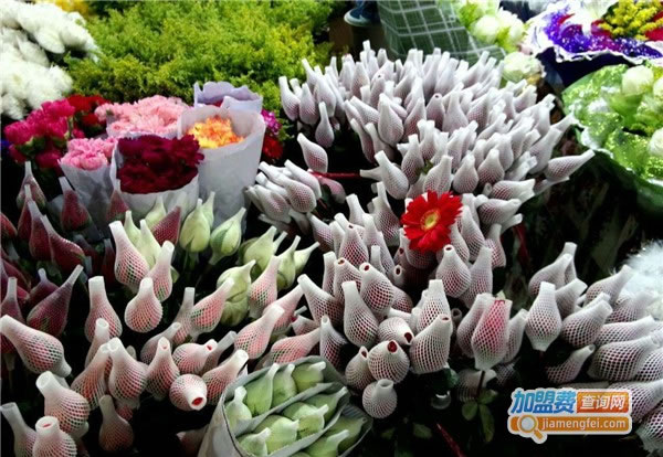 《鲜花批发加盟费》