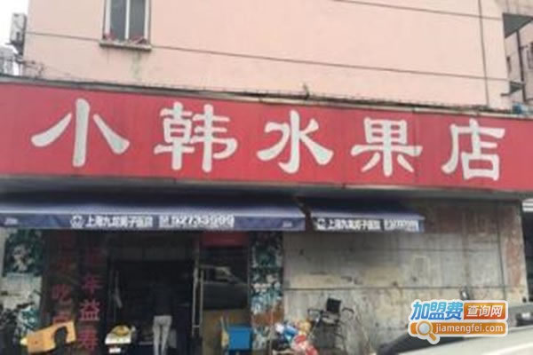 《小韩水果店加盟费》