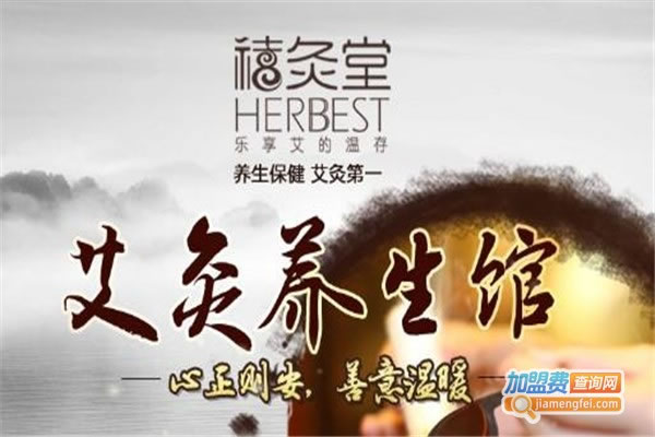 《禧灸堂艾灸养生加盟费》