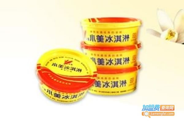 《小美冰淇淋加盟费》