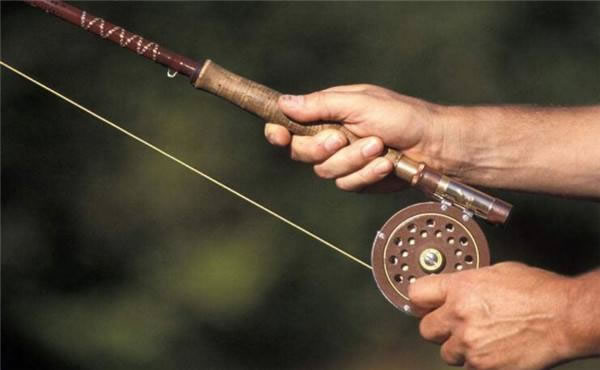 ŵ߼˷ѡ