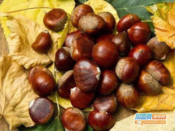 《祥祥栗子加盟费》