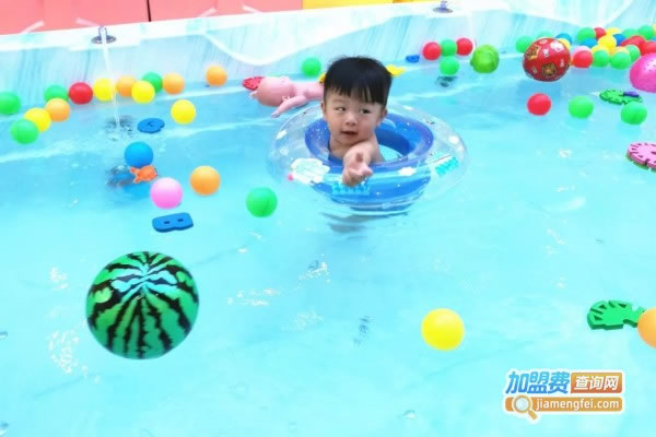 《小鸭当家儿童水育加盟费》
