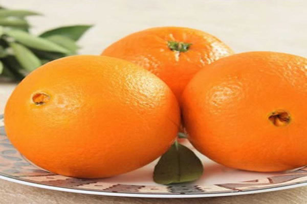 《小优鲜橙加盟费》