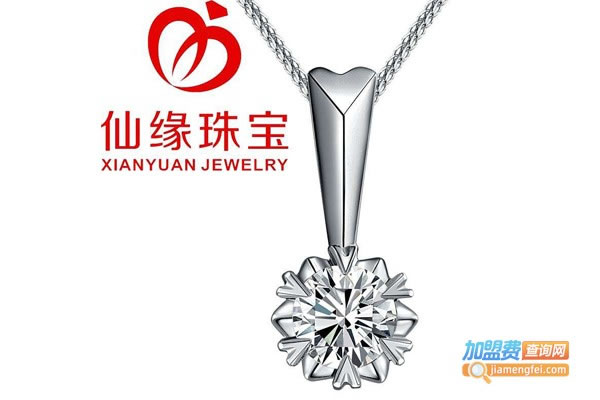 《仙缘珠宝加盟费》