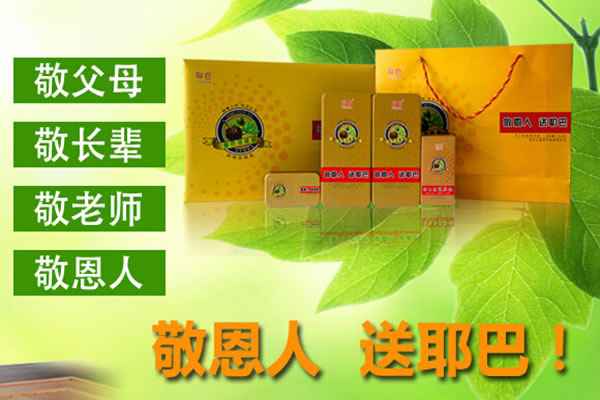 《耶巴马黛茶加盟费》