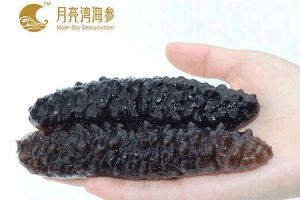 《月亮湾海参加盟费》