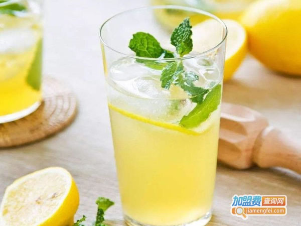 《元水鲜果茶加盟费》