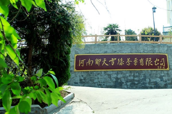 《仰天雪绿加盟费》