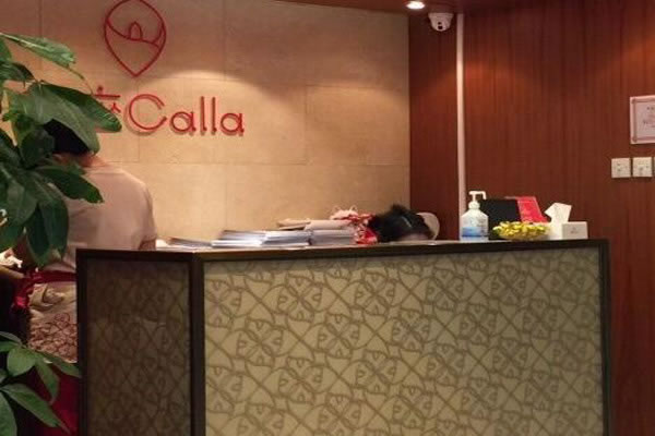 Calla˷ѡ