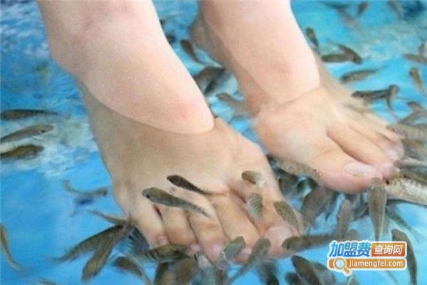 《鱼之吻足浴养生馆加盟费》