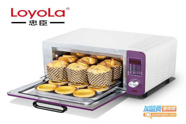 ҳLOYOLA˷ѡ