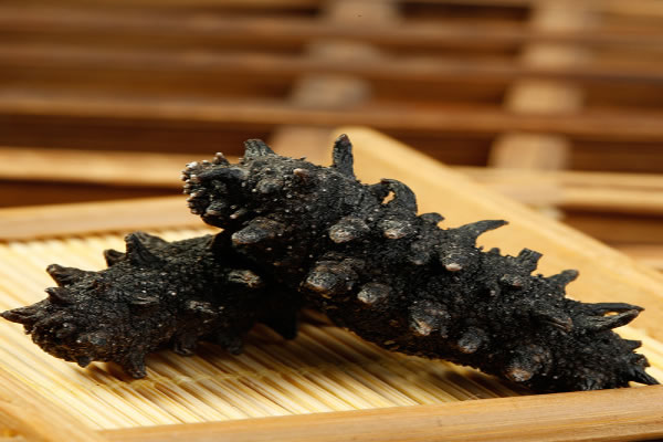 《珍群干海参加盟费》