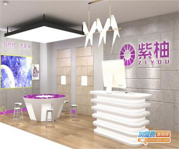 《紫柚全屋智能照明加盟费》